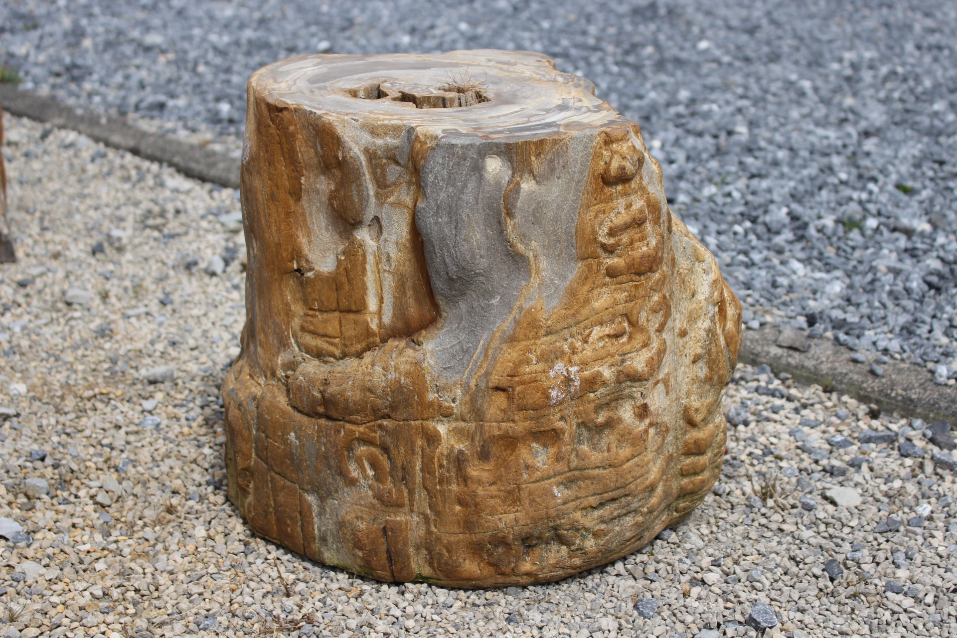 Versteinertes Holz ca. 35x25x34cm