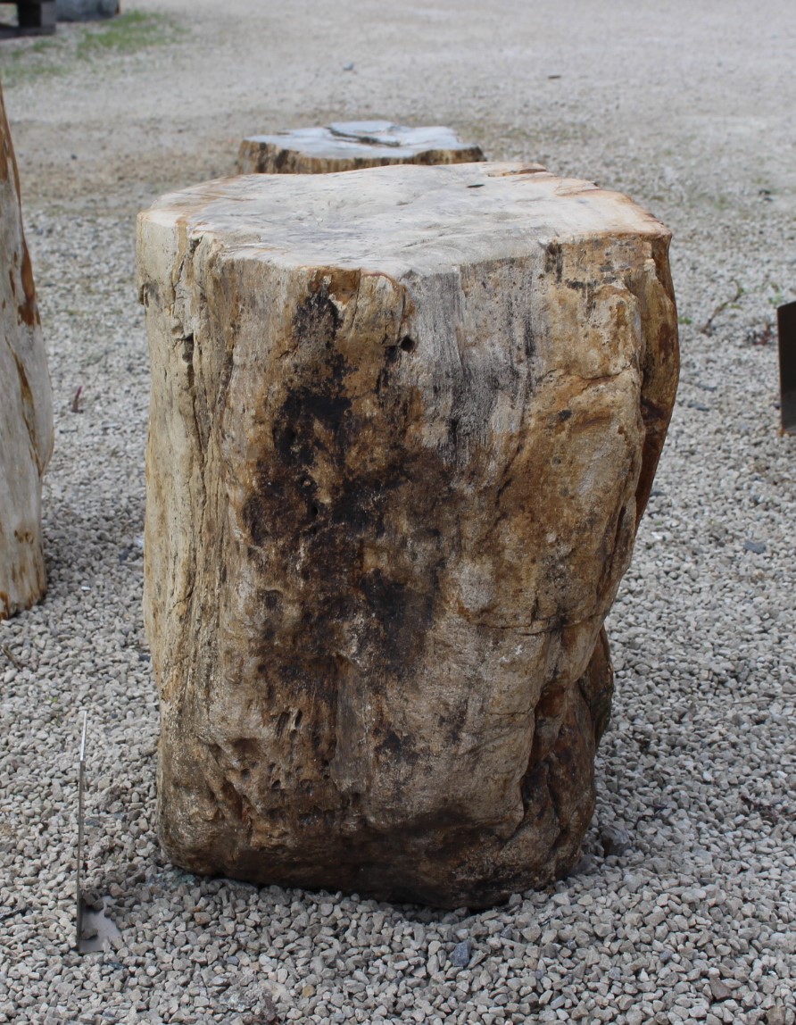 Versteinertes Holz ca. 38x28x46cm