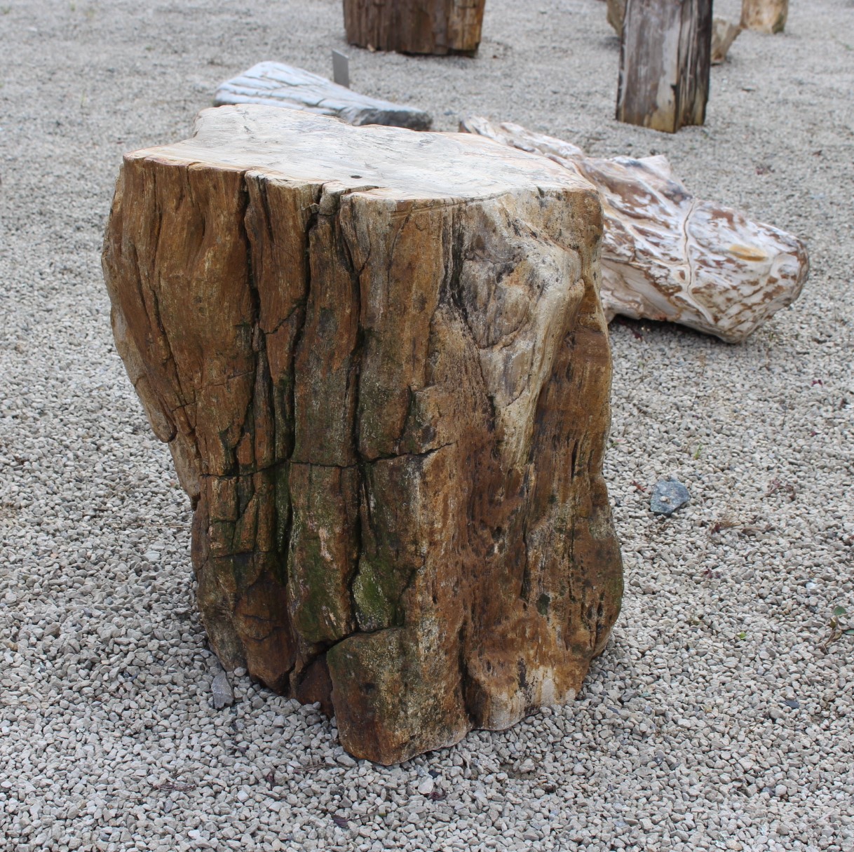 Versteinertes Holz ca. 38x28x46cm
